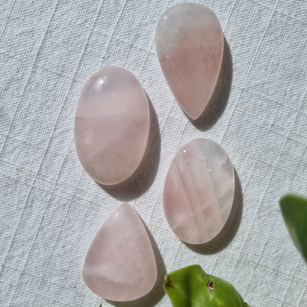 Rose Quartz Cabochon - Sparrow and Fox