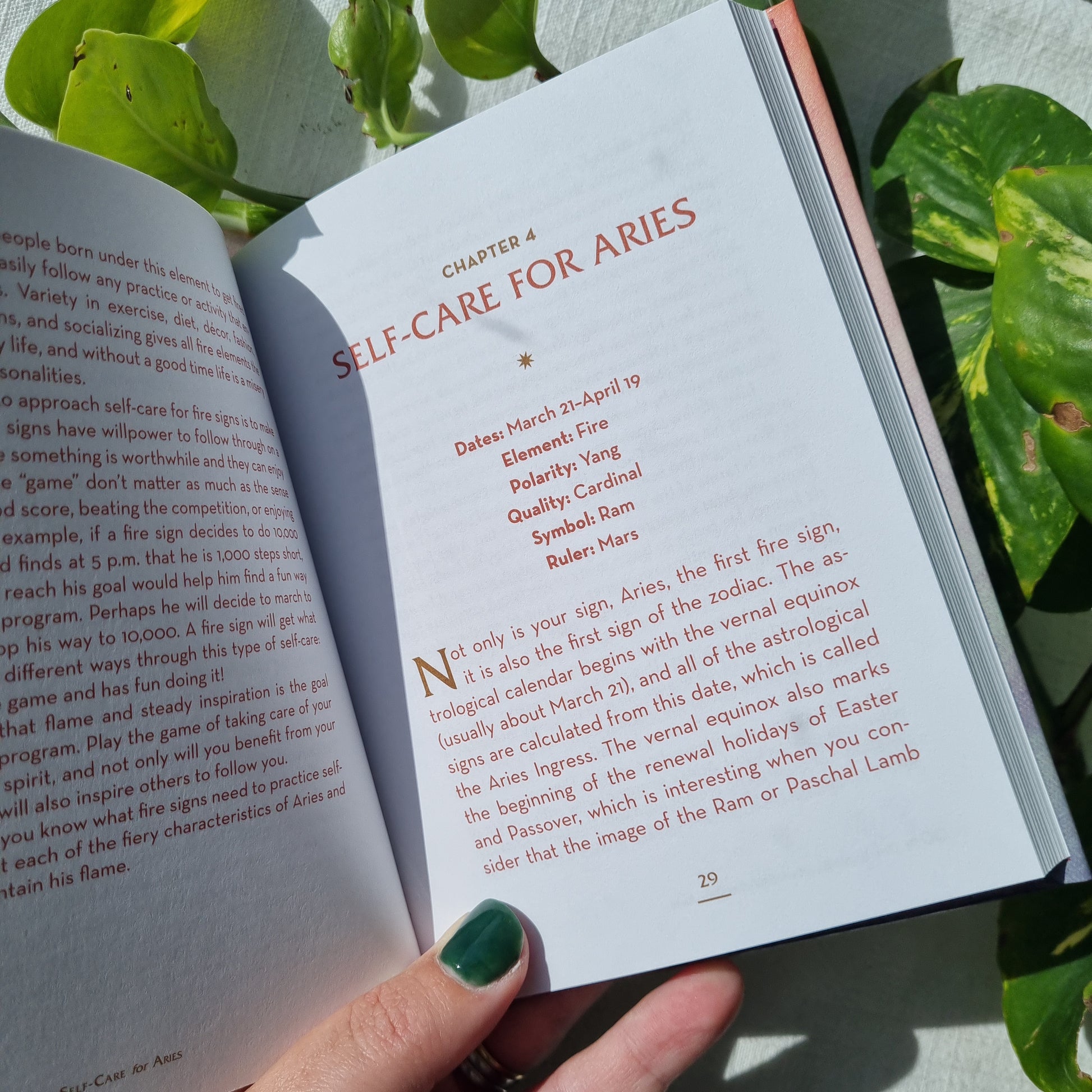 The Little Book of Self-Care for Aries - Constance Stellas - Sparrow and Fox