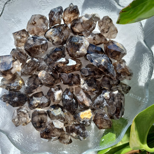 Mooralla Smoky Quartz Specimen - 5-9 grams - Sparrow and Fox