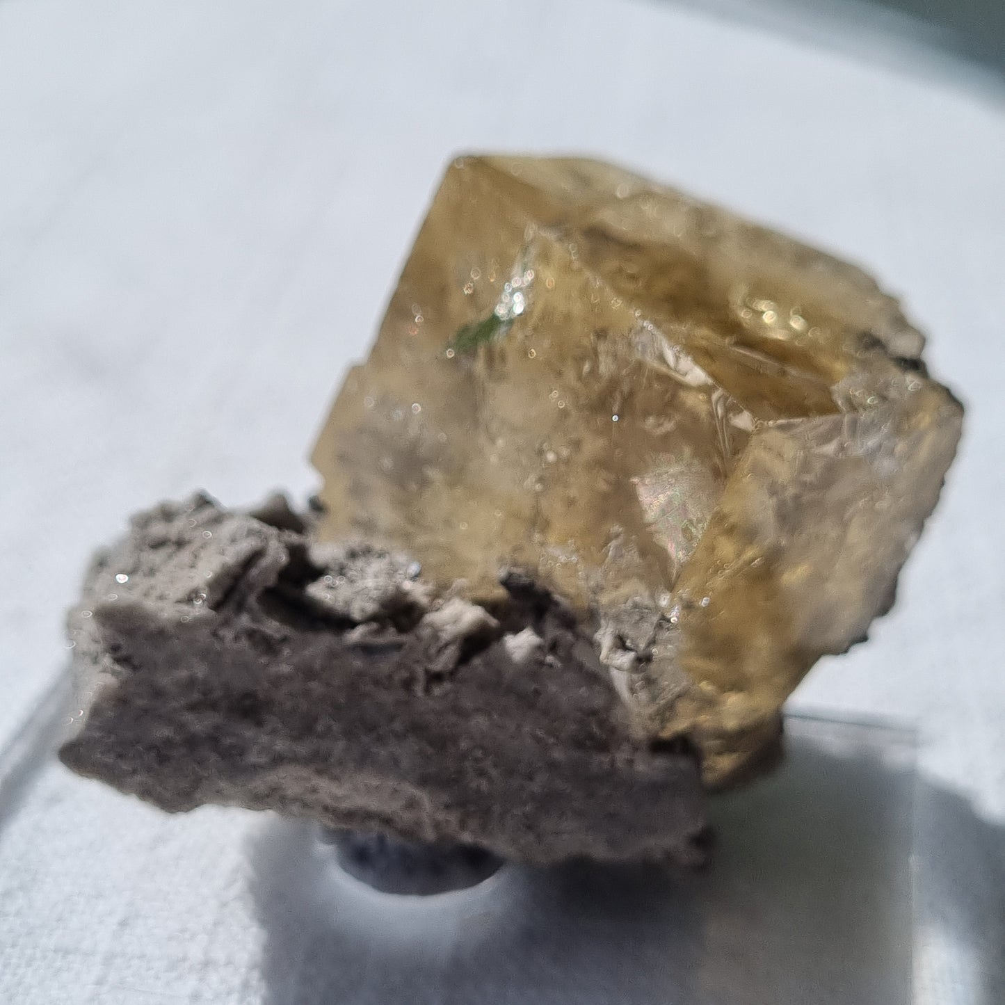 Yellow Fluorite Cube - USA - 40.63g - Sparrow and Fox