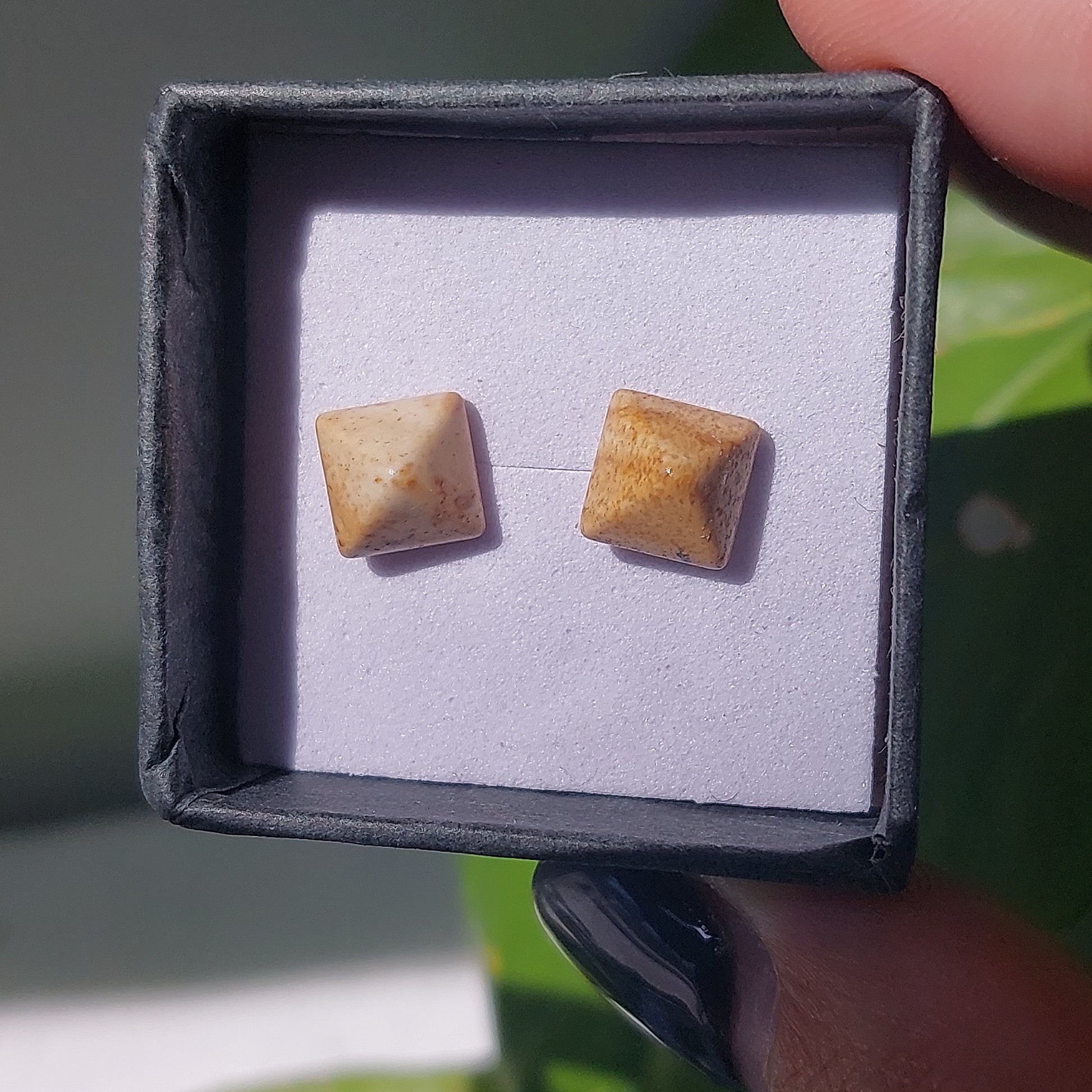Picture Jasper Crystal Cabochon Earrings - Sparrow and Fox