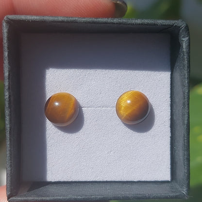 Tigers Eye Crystal Cabochon Earrings - Sparrow and Fox