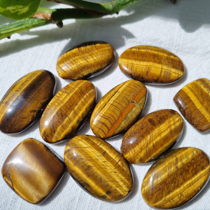 Tigers Eye Cabochon - Sparrow and Fox