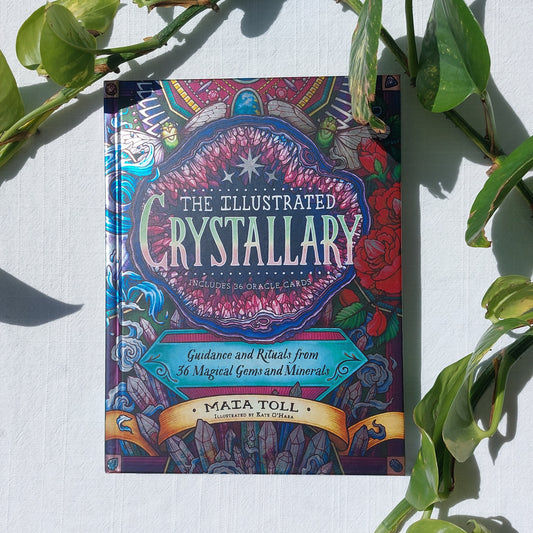 Illustrated Crystallary - Maia Toll - Sparrow and Fox