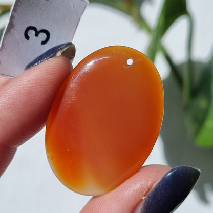 Carnelian Drilled Cabochon - Sparrow and Fox