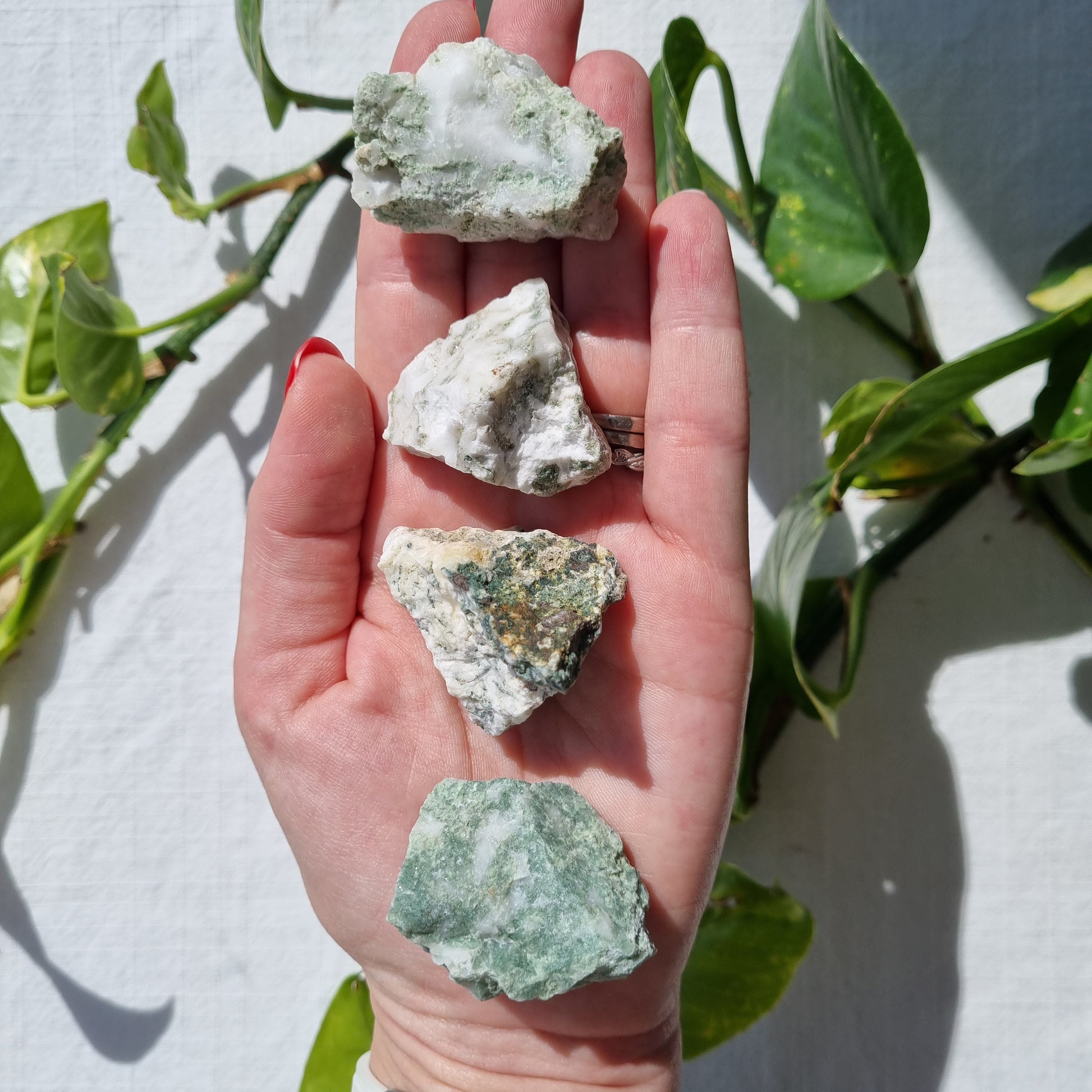 Tree Agate Raw - Sparrow and Fox