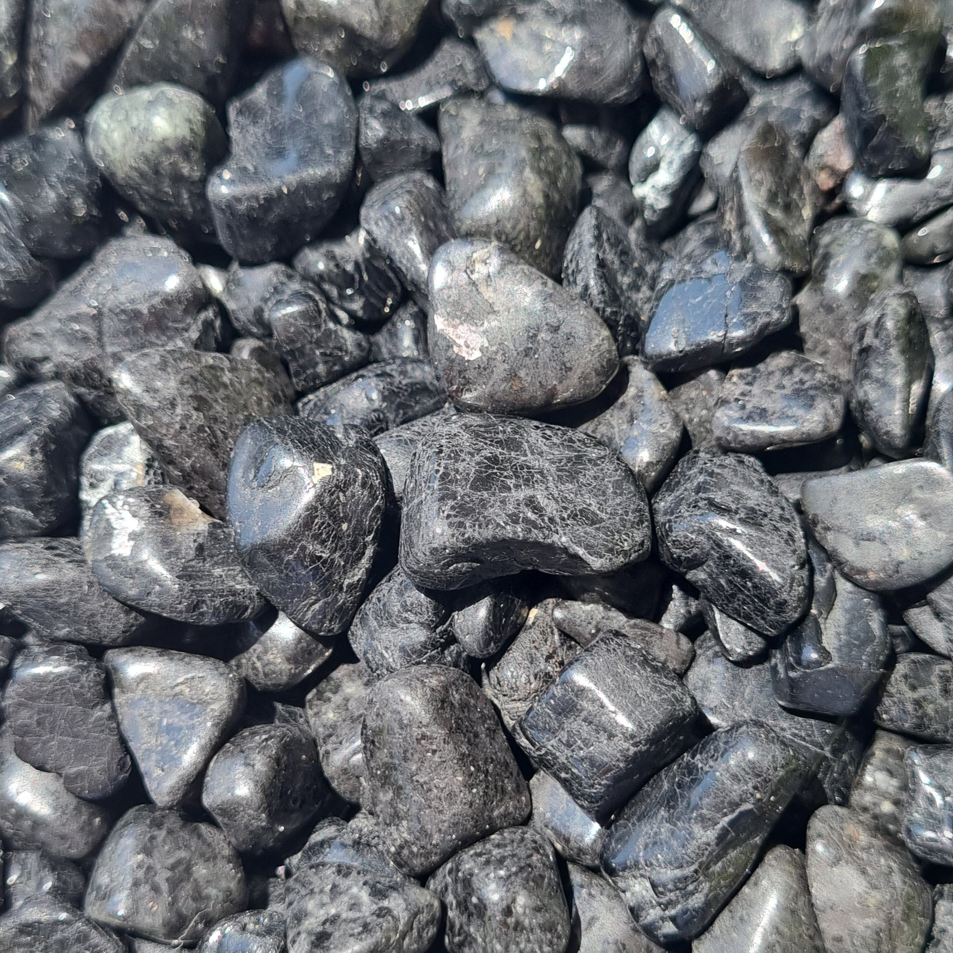 Black Tourmaline Chips - Sparrow and Fox