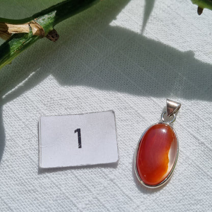 Carnelian Cabochon Sterling Silver Pendant - Sparrow and Fox