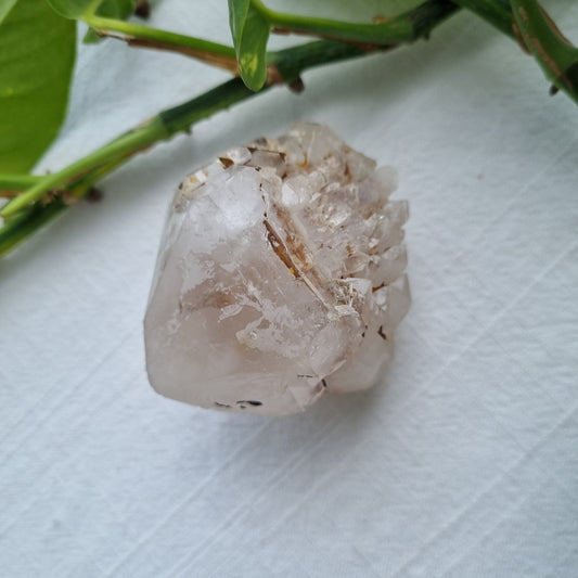 Clear Quartz Pineapple Cluster - 153g - Sparrow and Fox