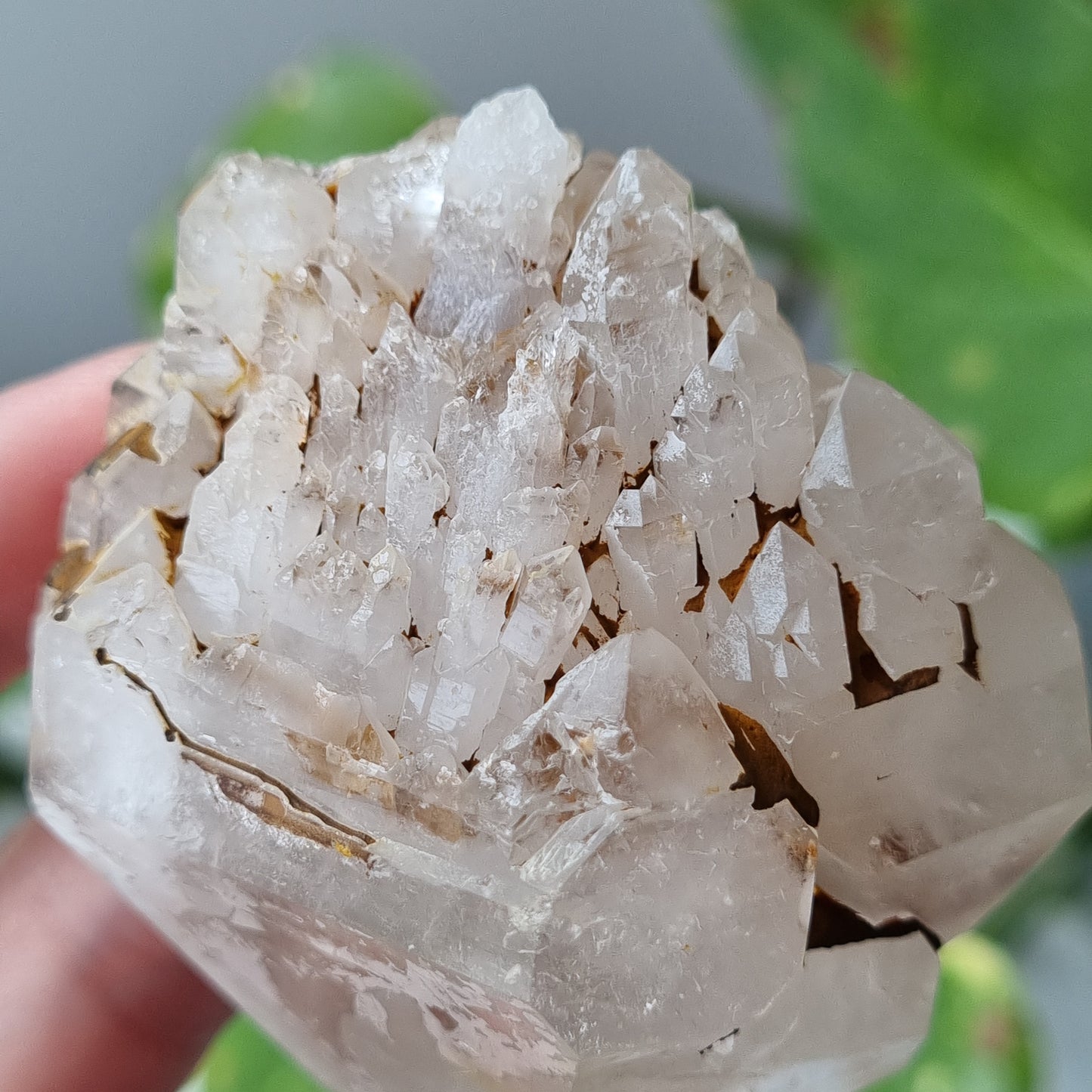 Clear Quartz Pineapple Cluster - 153g - Sparrow and Fox