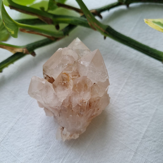 Clear Quartz Pineapple Cluster - 103g - Sparrow and Fox