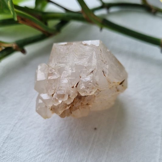 Clear Quartz Pineapple Cluster - 92g - Sparrow and Fox