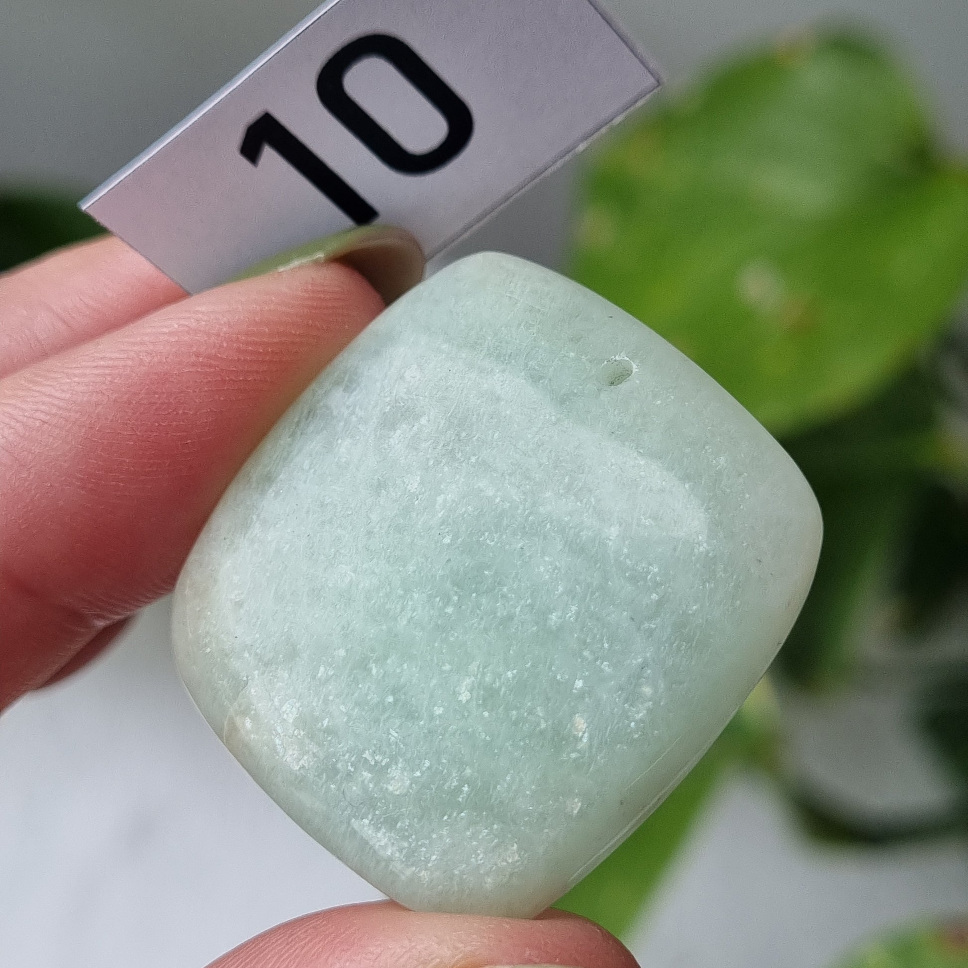 Amazonite Drilled Cabochon - Sparrow and Fox