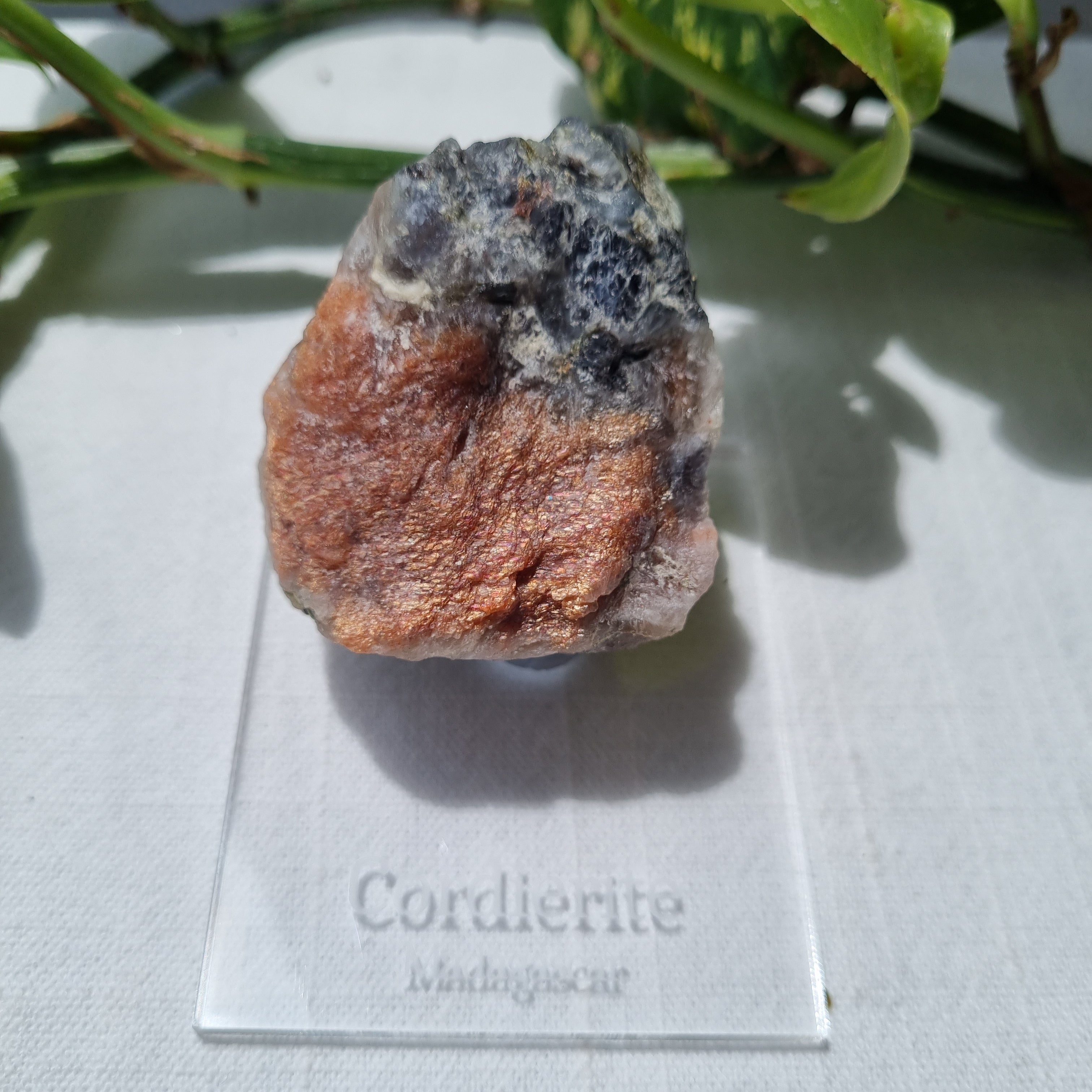 Sunstone Fox Ridge Sunstone – Sparrow and Fox