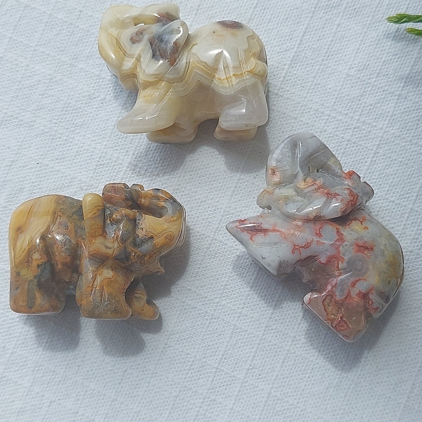 Crazy Lace Agate Elephant - 40mm - Sparrow and Fox