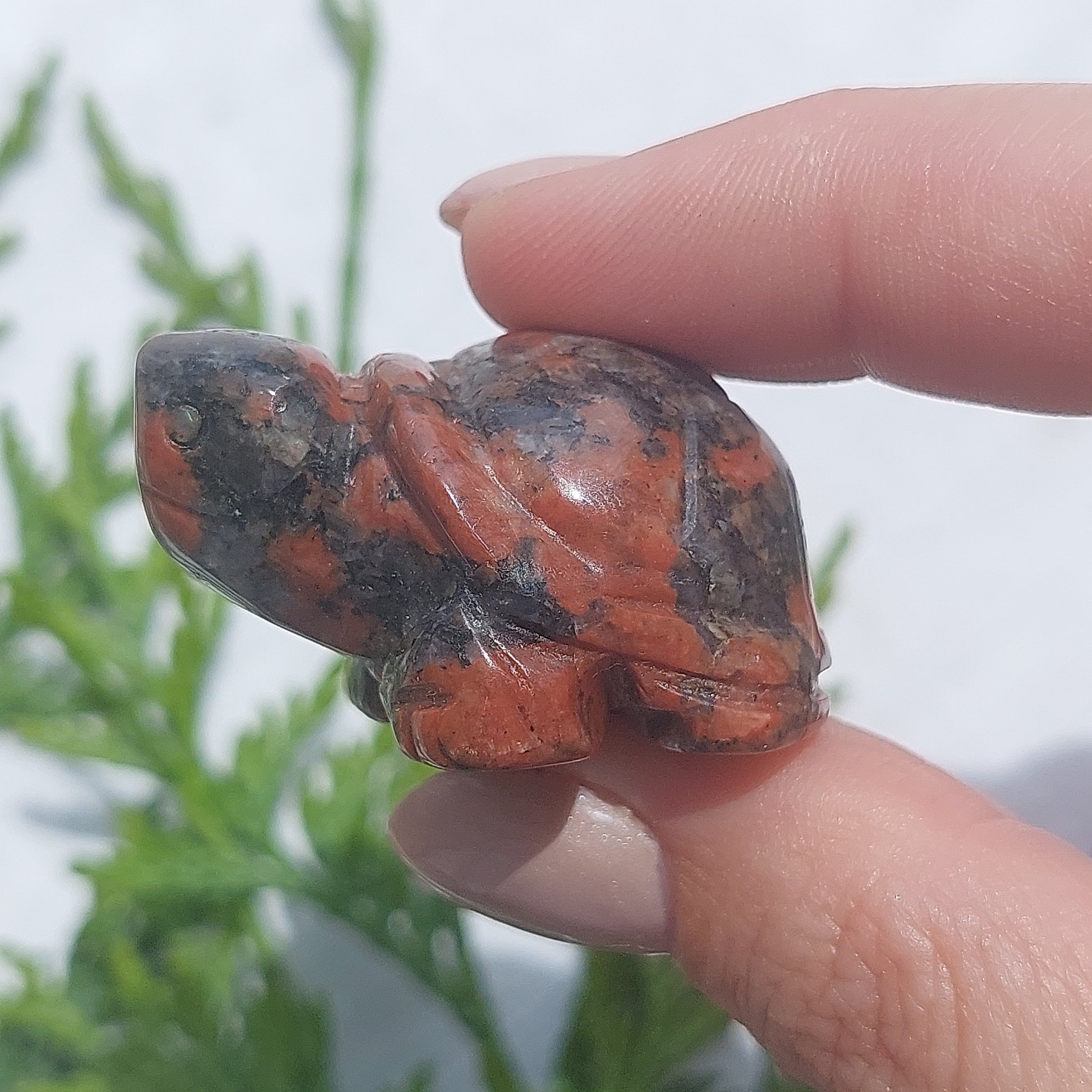 Red Granite Turtle - 40mm - Sparrow and Fox