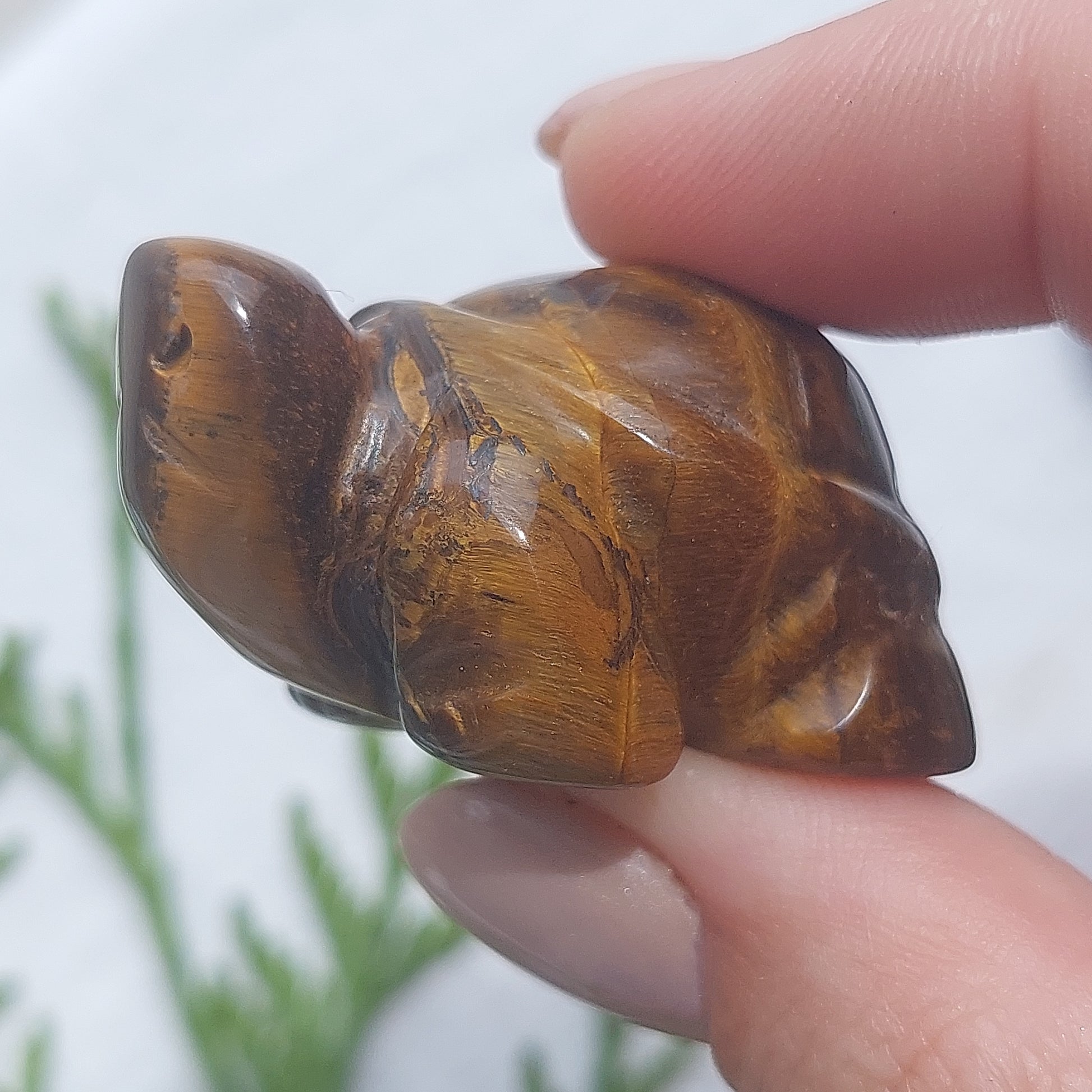 Tigers Eye Turtle - 40mm - Sparrow and Fox