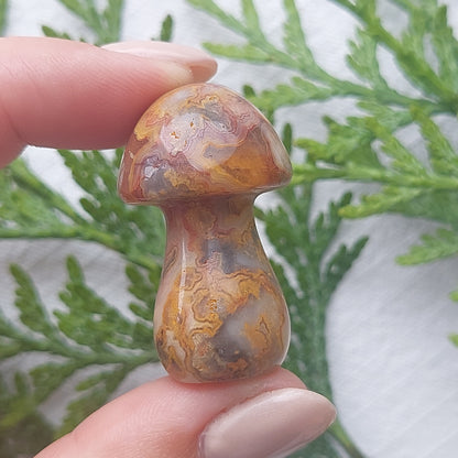 Crazy Lace Agate Mushroom - 35mm - Sparrow and Fox
