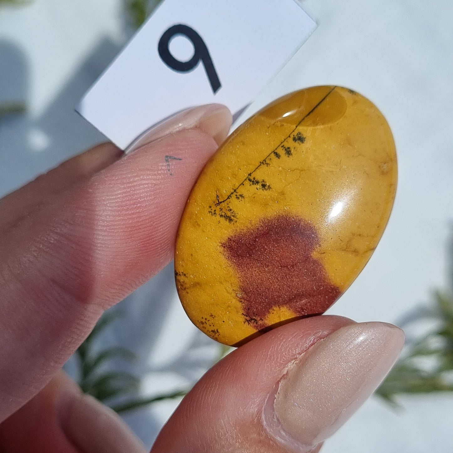 Mookaite Cabochon - Sparrow and Fox