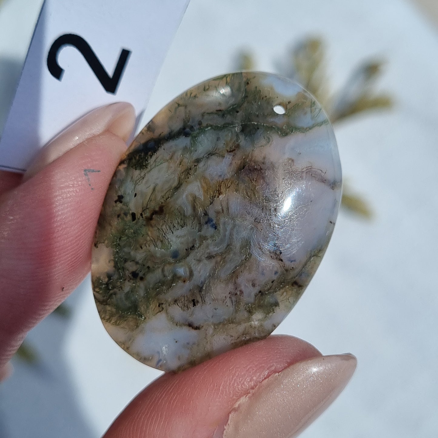 Moss Agate Drilled Cabochon - Sparrow and Fox