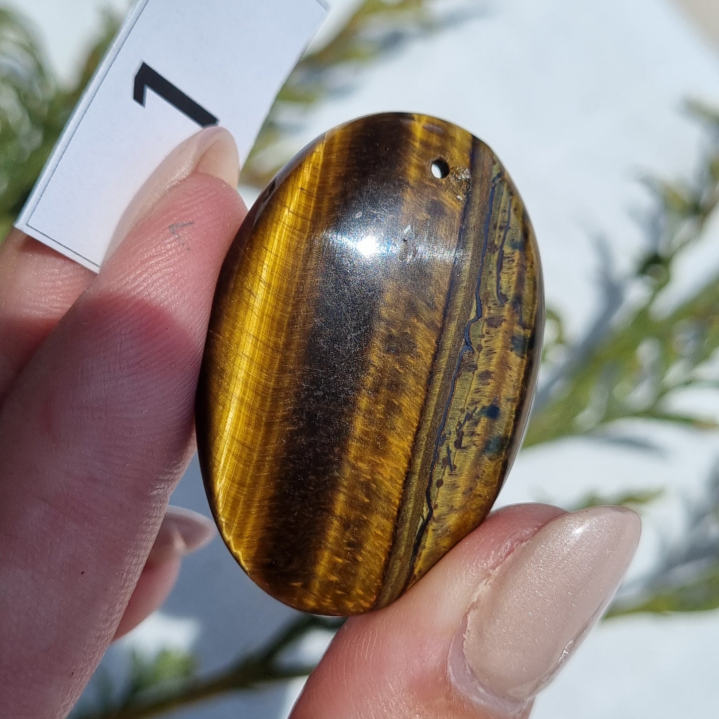 Tigers Eye Drilled Cabochon - Sparrow and Fox
