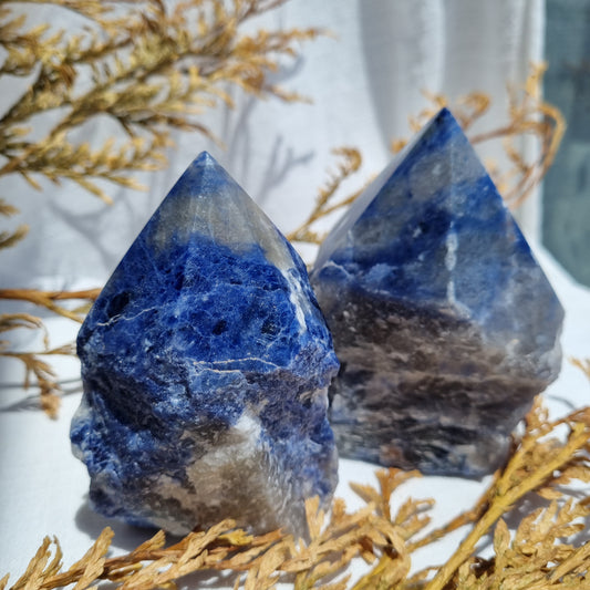 Sodalite Raw with Polished Point - Brazil - Sparrow and Fox