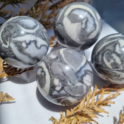 Shell Marble Sphere - Morocco - Sparrow and Fox