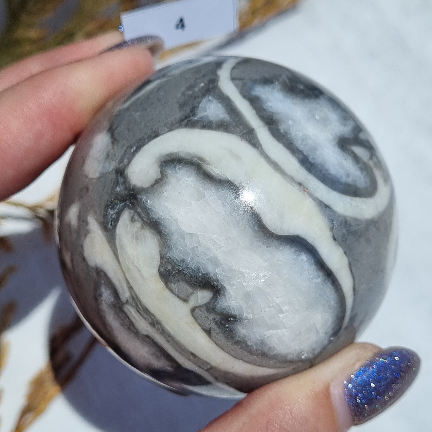 Shell Marble Sphere - Morocco - Sparrow and Fox