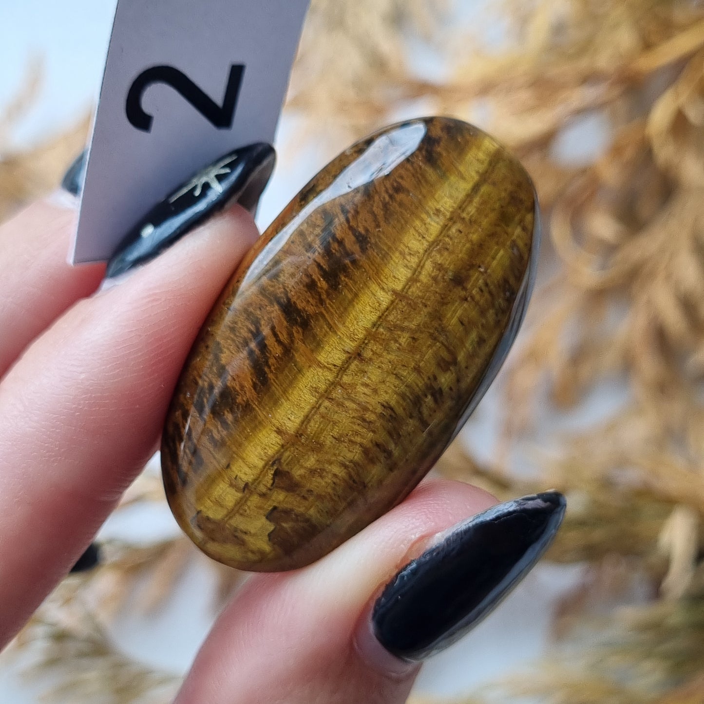 Tigers Eye Cabochon - Sparrow and Fox