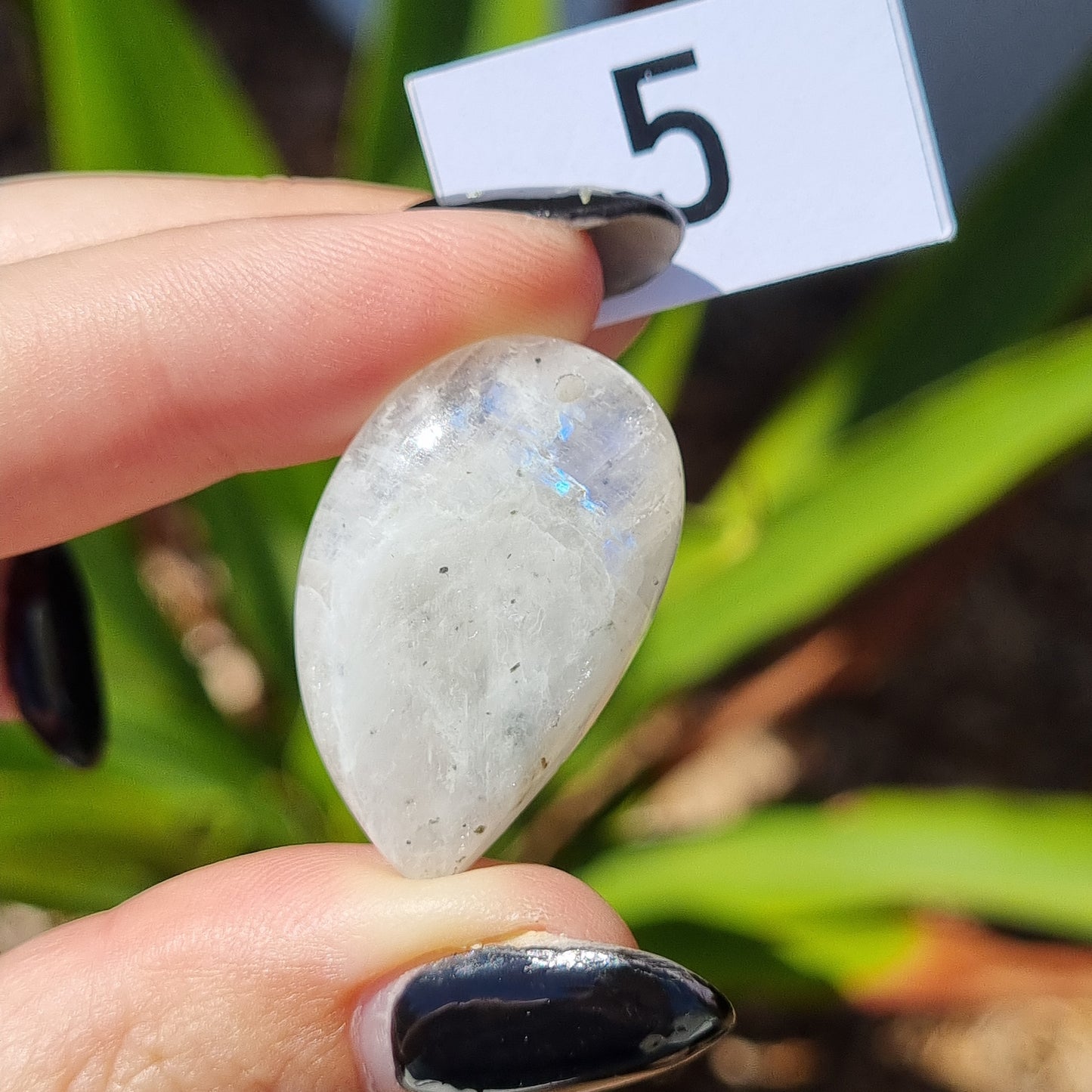 Moonstone Drilled Cabochon - Sparrow and Fox