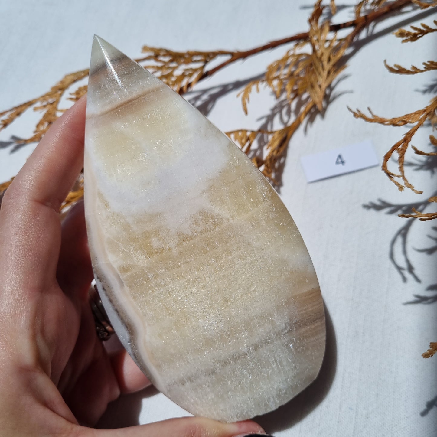 Banded Calcite Teardrop - Mexico - Sparrow and Fox