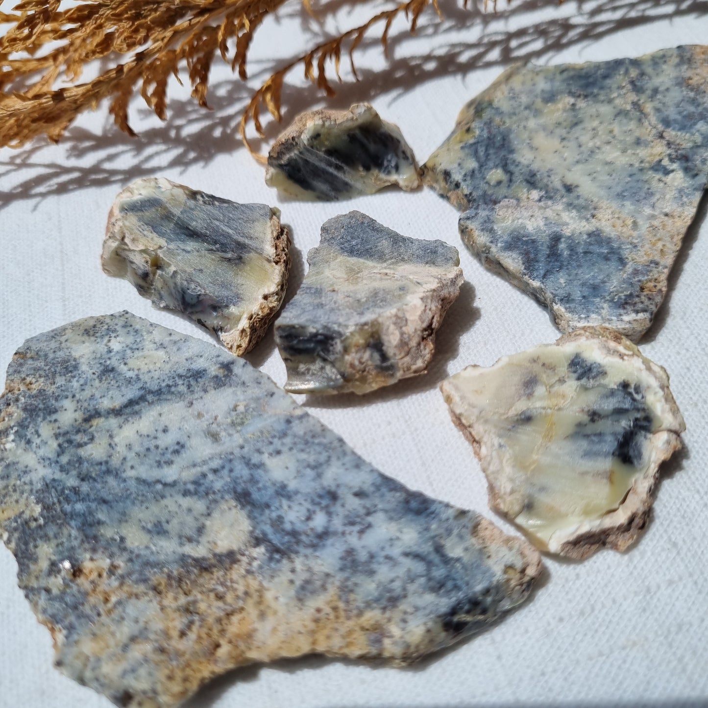 Dendritic Opal Cabbing Slabs - Norseman, WA - Sparrow and Fox