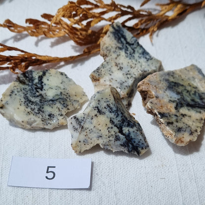 Dendritic Opal Cabbing Slabs - Norseman, WA - Sparrow and Fox