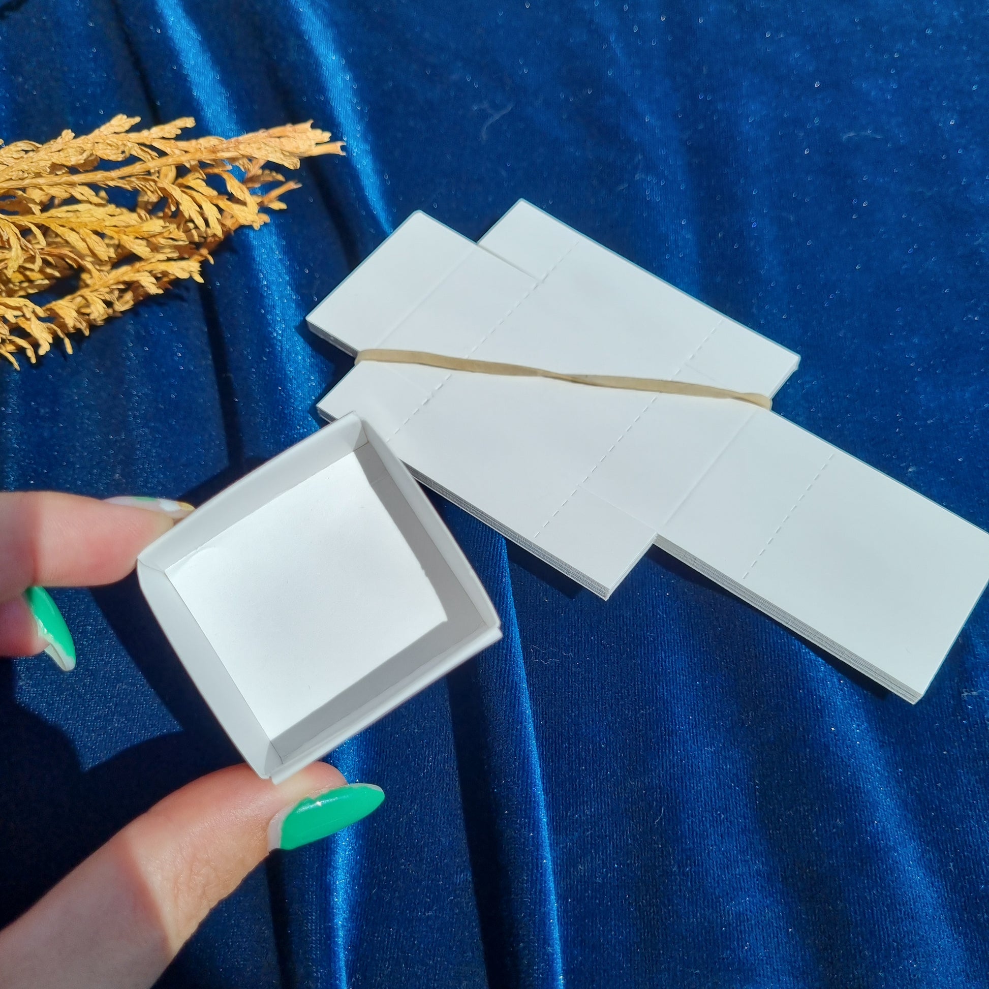 Fold up Cardboard Specimen Box 10 Pack Sparrow and Fox