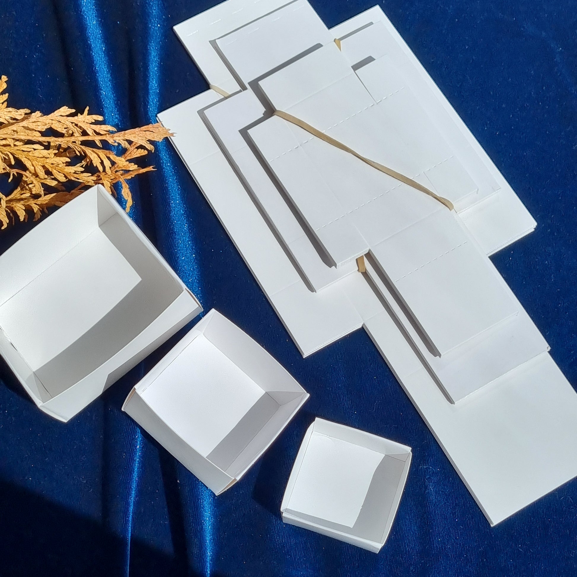 Fold up Cardboard Specimen Box 10 Pack Sparrow and Fox