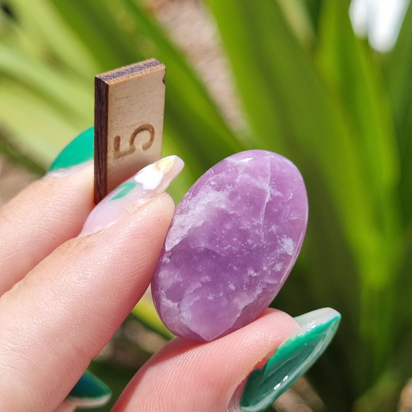 Lepidolite Cabochon - Sparrow and Fox