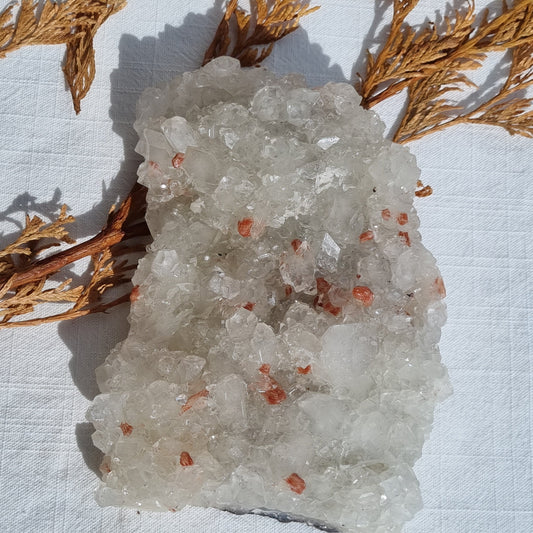 Apophyllite Glass Cluster with Stellarite - India - 764g - A Grade - Sparrow and Fox