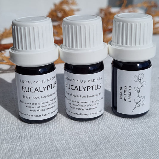 Eucalyptus Radiata Essential Oil - 5ml - The Witches Pantry - Sparrow and Fox