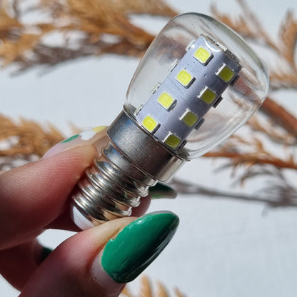 Selenite Lamp LED Bulb - 2w - Sparrow and Fox