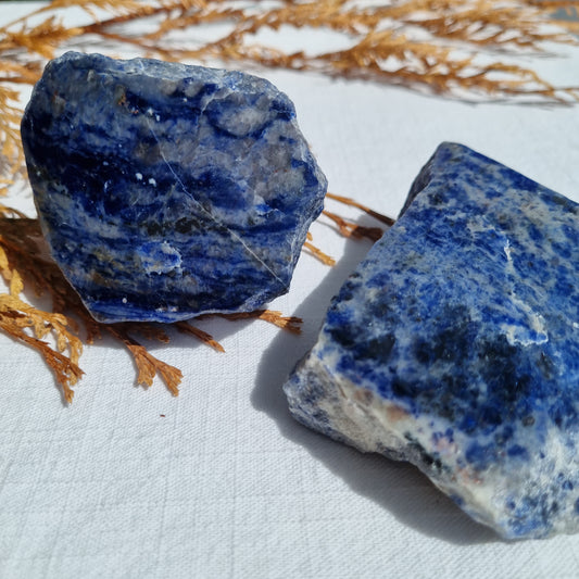 Sodalite Raw with One Face Polished - Sparrow and Fox