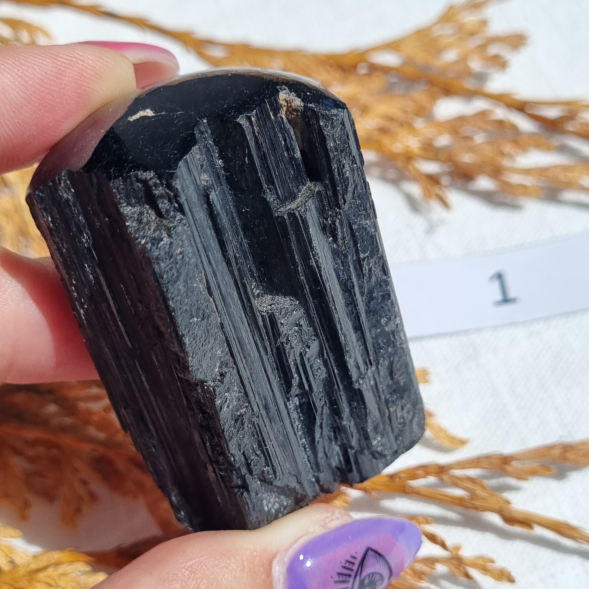 Black Tourmaline Rough Tower with Polished Top - Brazil - Sparrow and Fox