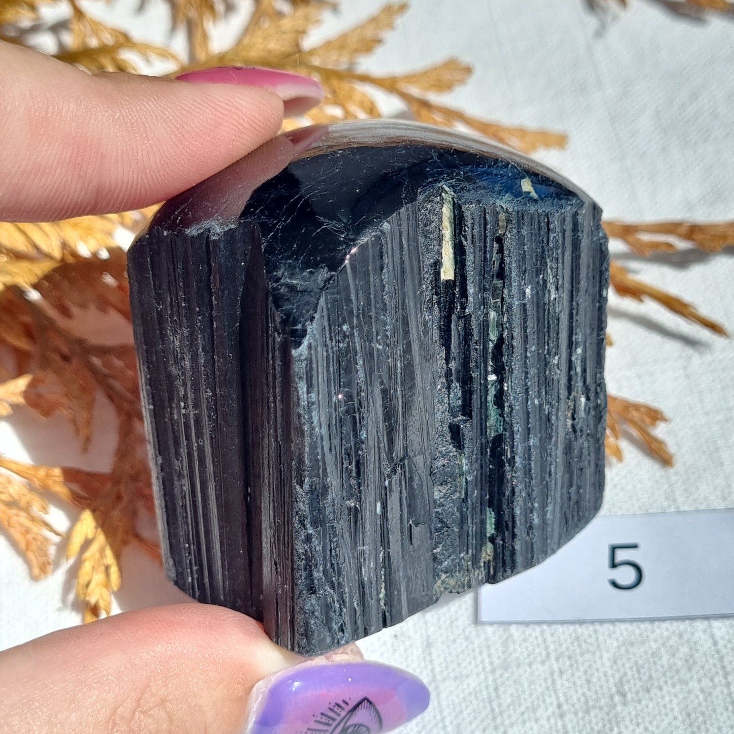 Black Tourmaline Rough Tower with Polished Top - Brazil - Sparrow and Fox