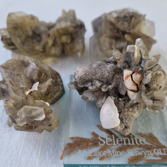 Selenite Cluster Specimen - Australia - Sparrow and Fox