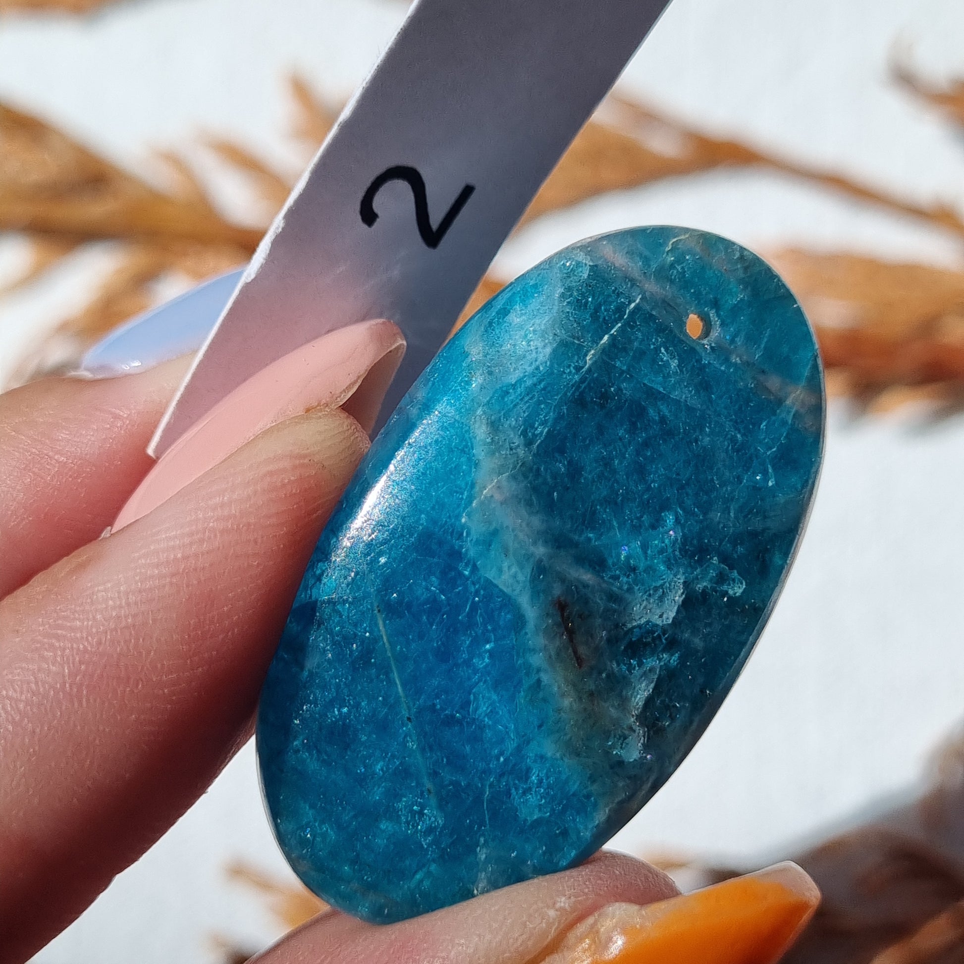 Blue Apatite Drilled Cabochon - Sparrow and Fox