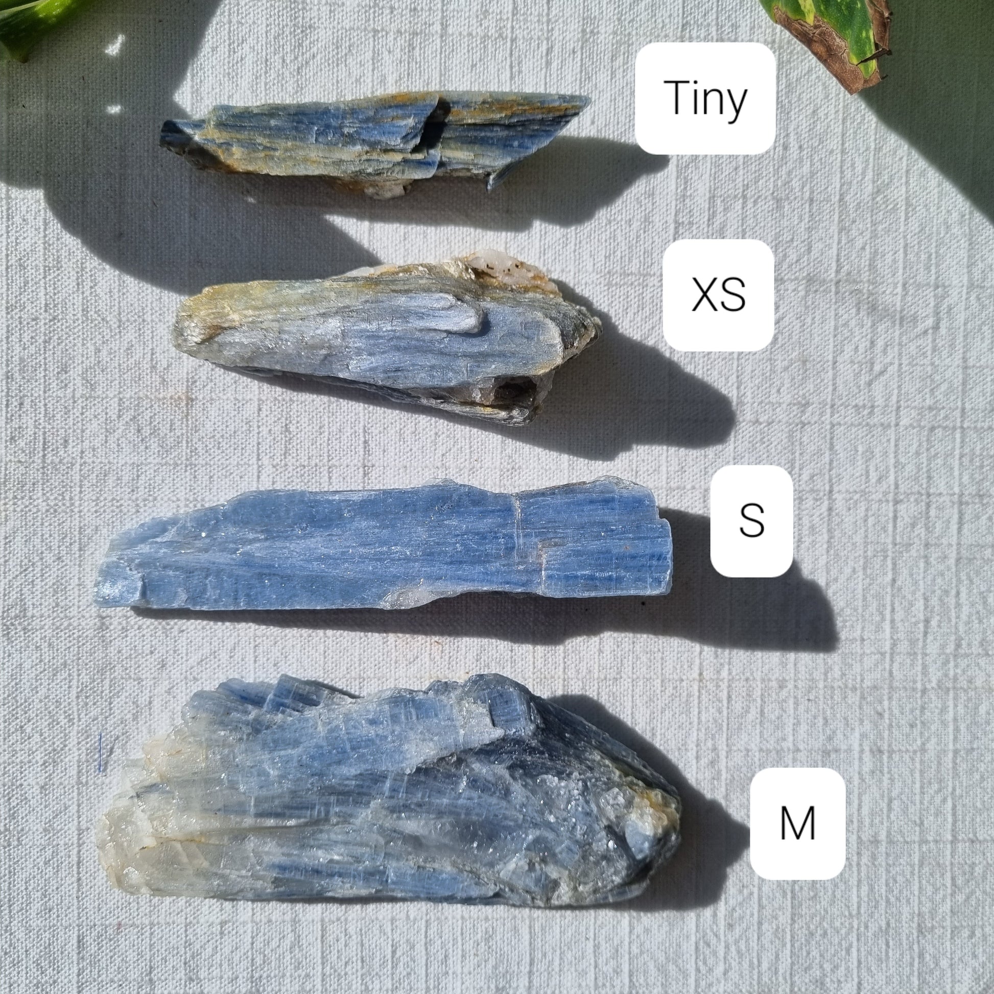 Blue Kyanite Gem Pieces - Sparrow and Fox