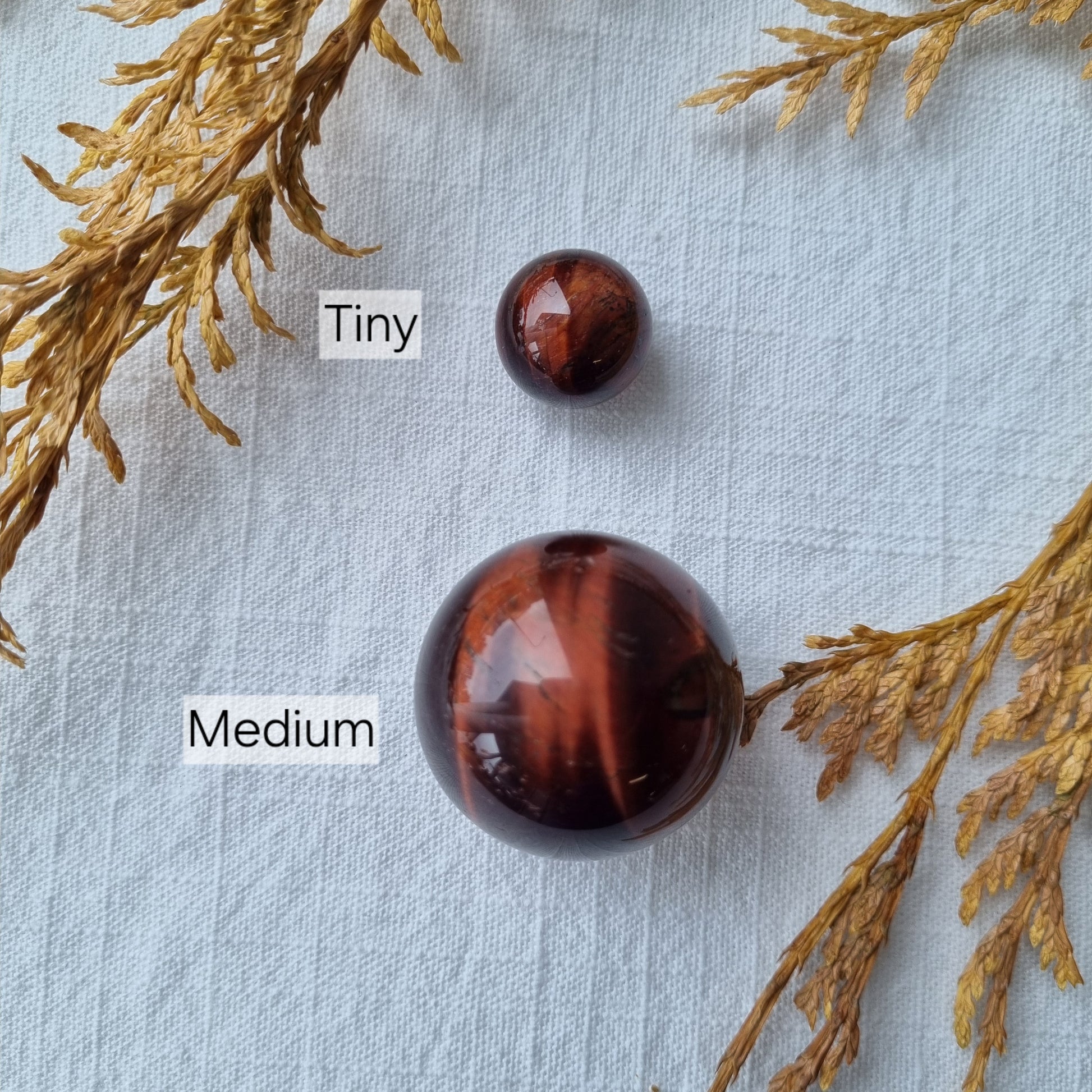 Red Tigers Eye Sphere - Sparrow and Fox