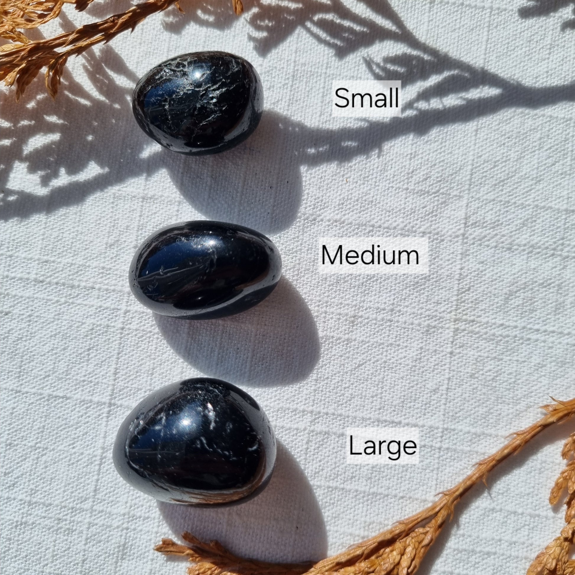 Black Tourmaline Tumble - Sparrow and Fox