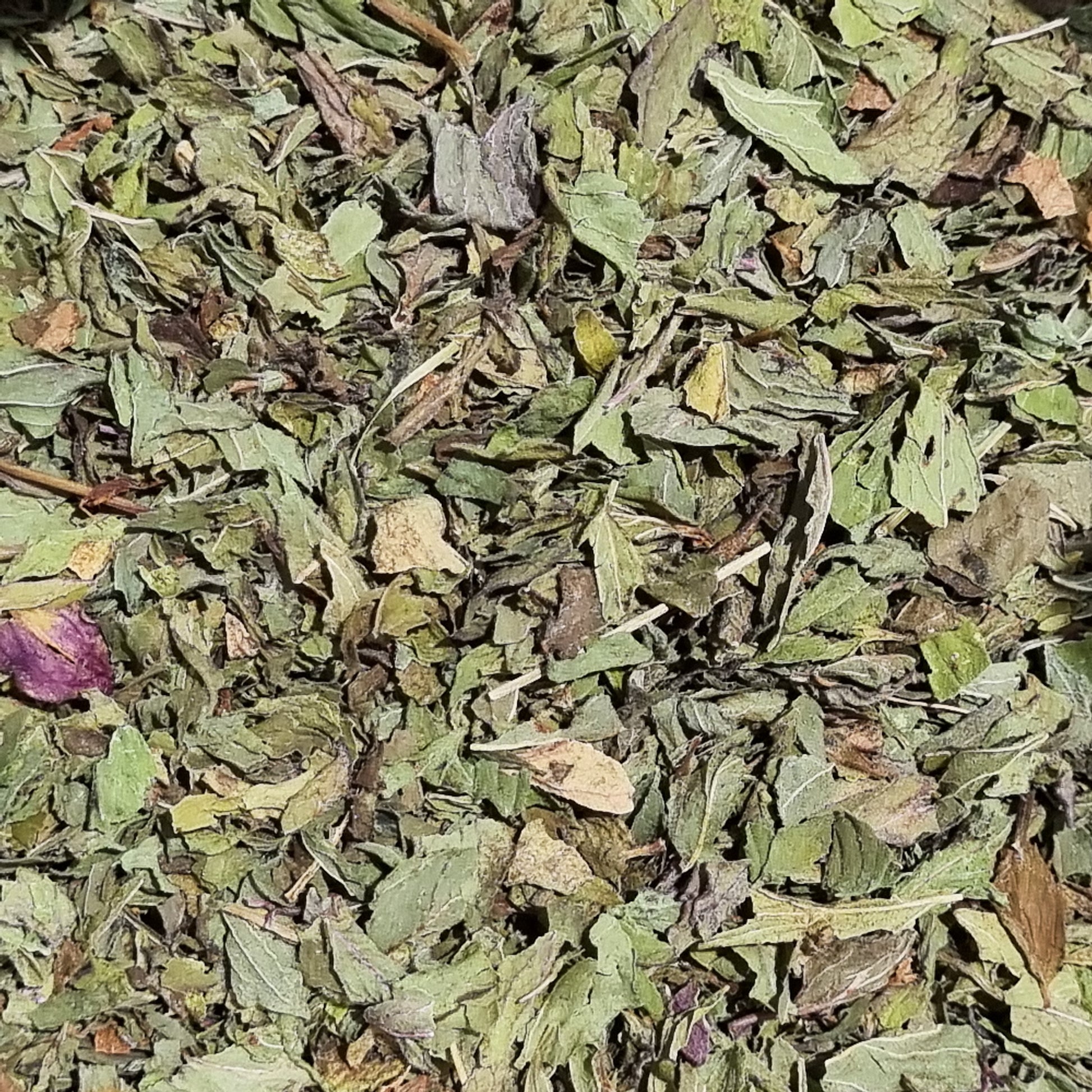 Peppermint - Organic - Sparrow and Fox