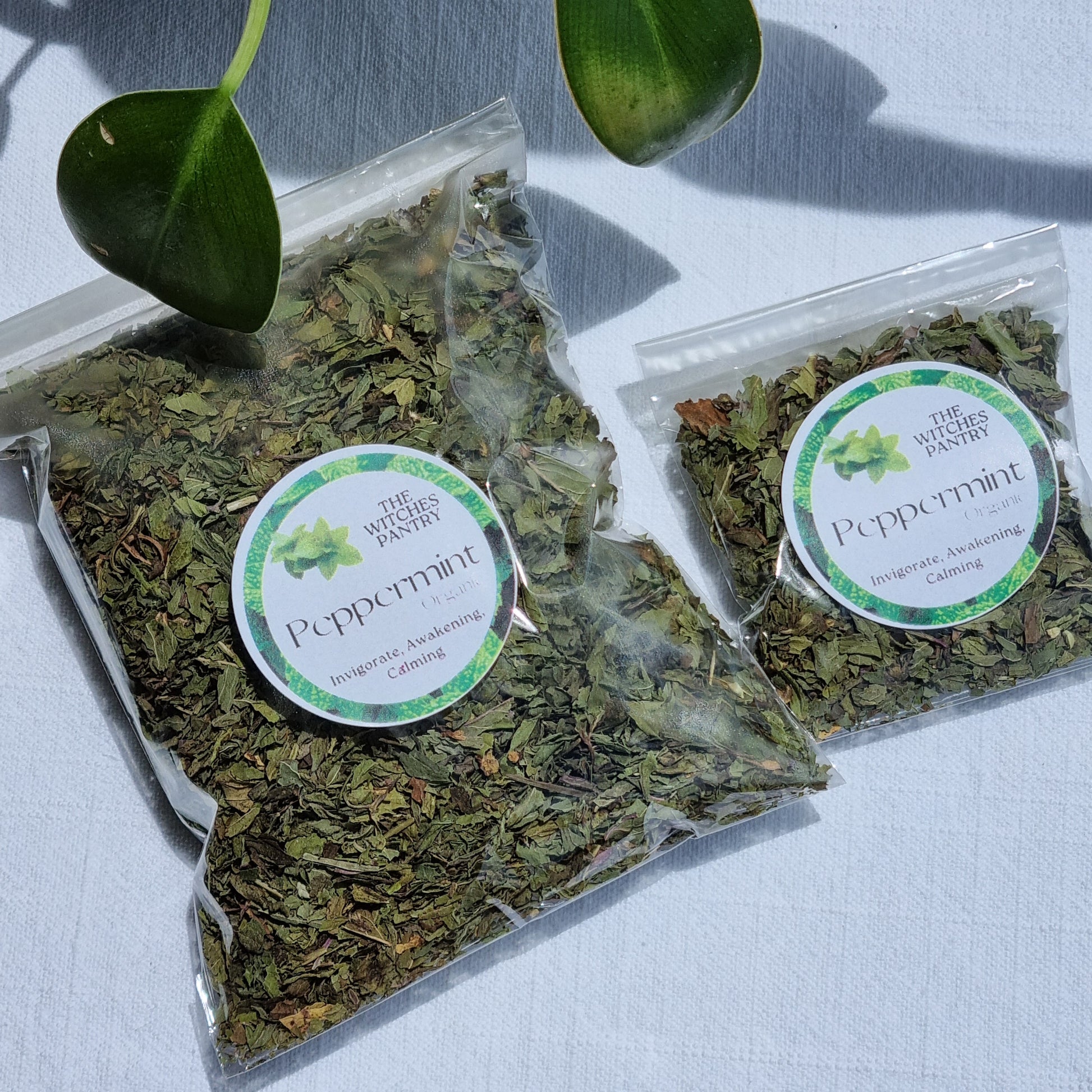 Peppermint - Organic - Sparrow and Fox