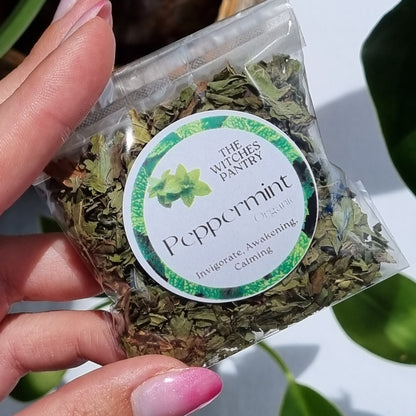 Peppermint - Organic - Sparrow and Fox